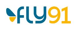 Fly91 Logo